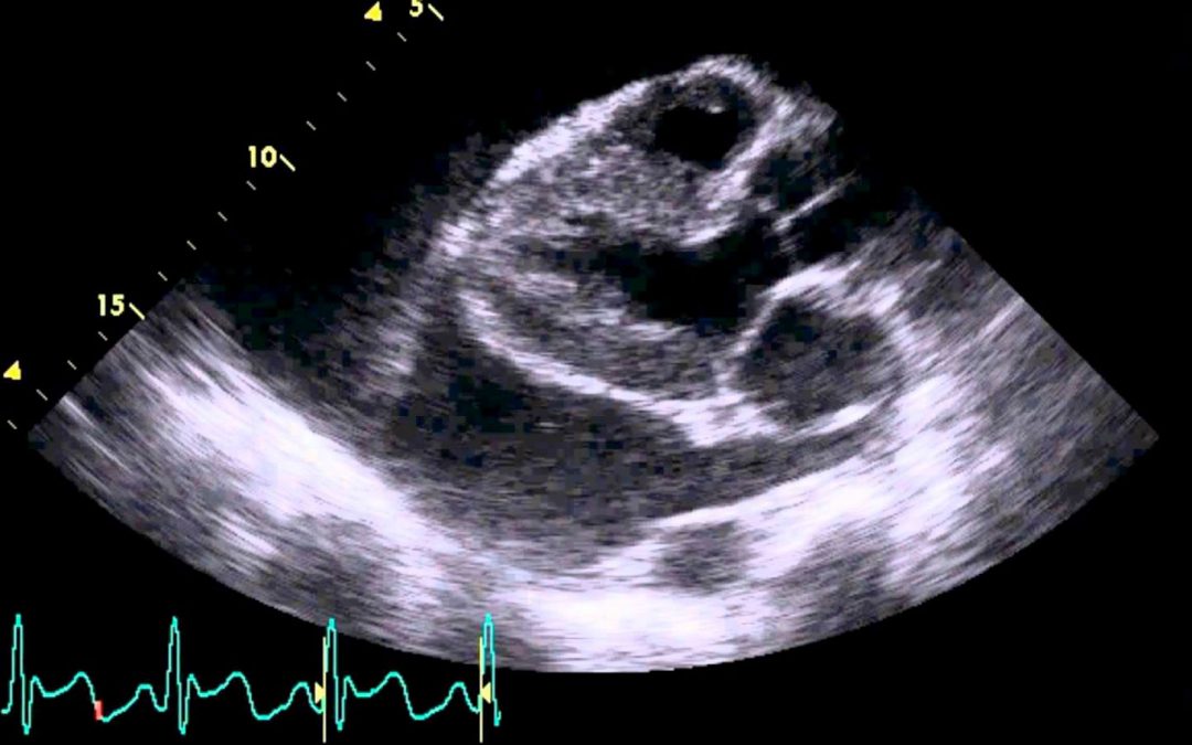 The Mysteries of Health